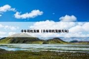 卡车司机发展（卡车司机发展方向）
