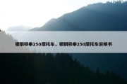 银钢铁拳250摩托车，银钢铁拳250摩托车说明书