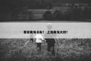 奉贤黄海卡车？ 上海黄海大桥？