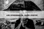 兰州二手车自动挡皮卡车（兰州市二手皮卡车）