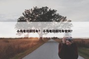 小鸟电动摩托车？ 小鸟电动摩托车官网？