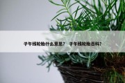 子午线轮胎什么意思？ 子午线轮胎百科？