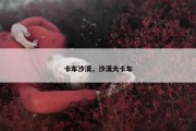 卡车沙漠，沙漠大卡车