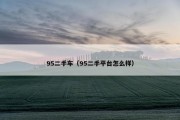 95二手车（95二手平台怎么样）