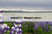 博瑞轮胎尺寸？ 博瑞轮胎尺寸是多少？