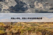 河池二手车，河池二手车交易市场价格