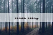 东风卡车软件，东风重卡app