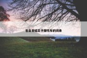 包含青蛙王子摩托车的词条