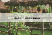 二手车怎样，二手车怎样评估价格