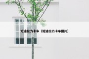 短途拉力卡车（短途拉力卡车图片）