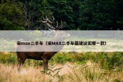 宋max二手车（宋MAX二手车最建议买哪一款）