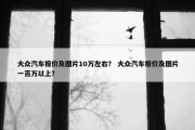 大众汽车报价及图片10万左右？ 大众汽车报价及图片一百万以上？