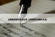 义鹰踏板摩托车怎么样（义鹰摩托车图片大全）