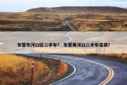 东营市河口区二手车？ 东营黄河口二手车交易？
