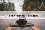 小卡车赛罗卡车图片大全（小卡车卡通图片）