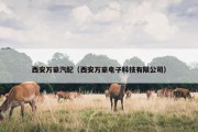 西安万豪汽配（西安万豪电子科技有限公司）