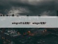 wingro什么轮胎？ winger轮胎？