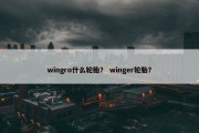 wingro什么轮胎？ winger轮胎？