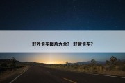 野外卡车图片大全？ 野营卡车？