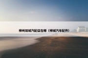 柳州双城汽配店在哪（柳城汽车配件）
