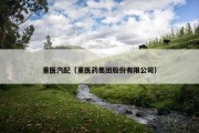 重医汽配（重医药集团股份有限公司）