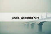 大众轮胎，大众轮胎螺丝多大尺寸