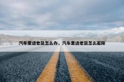 汽车里进老鼠怎么办，汽车里进老鼠怎么驱除