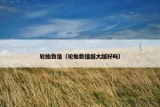 轮胎数值（轮胎数值越大越好吗）