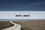 美蓝汽配，美蓝全称