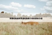 韩泰轮胎普利司通轮胎哪个好的简单介绍