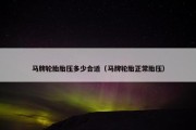 马牌轮胎胎压多少合适（马牌轮胎正常胎压）