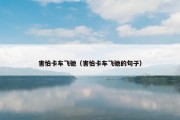害怕卡车飞驰（害怕卡车飞驰的句子）