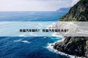 熊猫汽车图片？ 熊猫汽车图片大全？