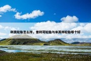 利奥轮胎怎么样，普利司轮胎与米其林轮胎哪个好