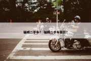 骊威二手车？ 骊威二手车报价？