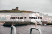 长安星豹柴油微卡车（长安星豹小货车）