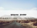 雪景色卡车？ 雪车视频？