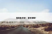 雪景色卡车？ 雪车视频？