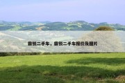 霸锐二手车，霸锐二手车报价及图片