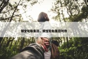 银宝轮胎集团，银宝轮胎集团刘奇