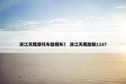 浙江天鹰摩托车踏板车？ 浙江天鹰踏板110？