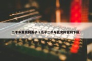 二手车直卖网瓜子（瓜子二手车直卖网官网下载）