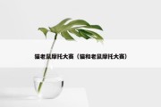 猫老鼠摩托大赛（猫和老鼠摩托大赛）