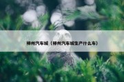 柳州汽车城（柳州汽车城生产什么车）