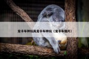 龙卡车神玩具龙卡车神玩（龙卡车图片）