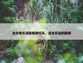 适合跑长途踏板摩托车，适合长途的踏板