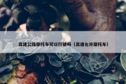 高速公路摩托车可以行驶吗（高速允许摩托车）