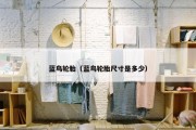 蓝鸟轮胎（蓝鸟轮胎尺寸是多少）