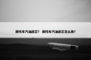 摩托车汽油滤芯？ 摩托车汽油滤芯怎么换？