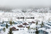 saka轮胎，sawa轮胎